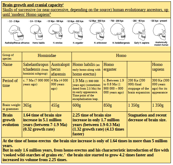 Prāṇānna brain growth